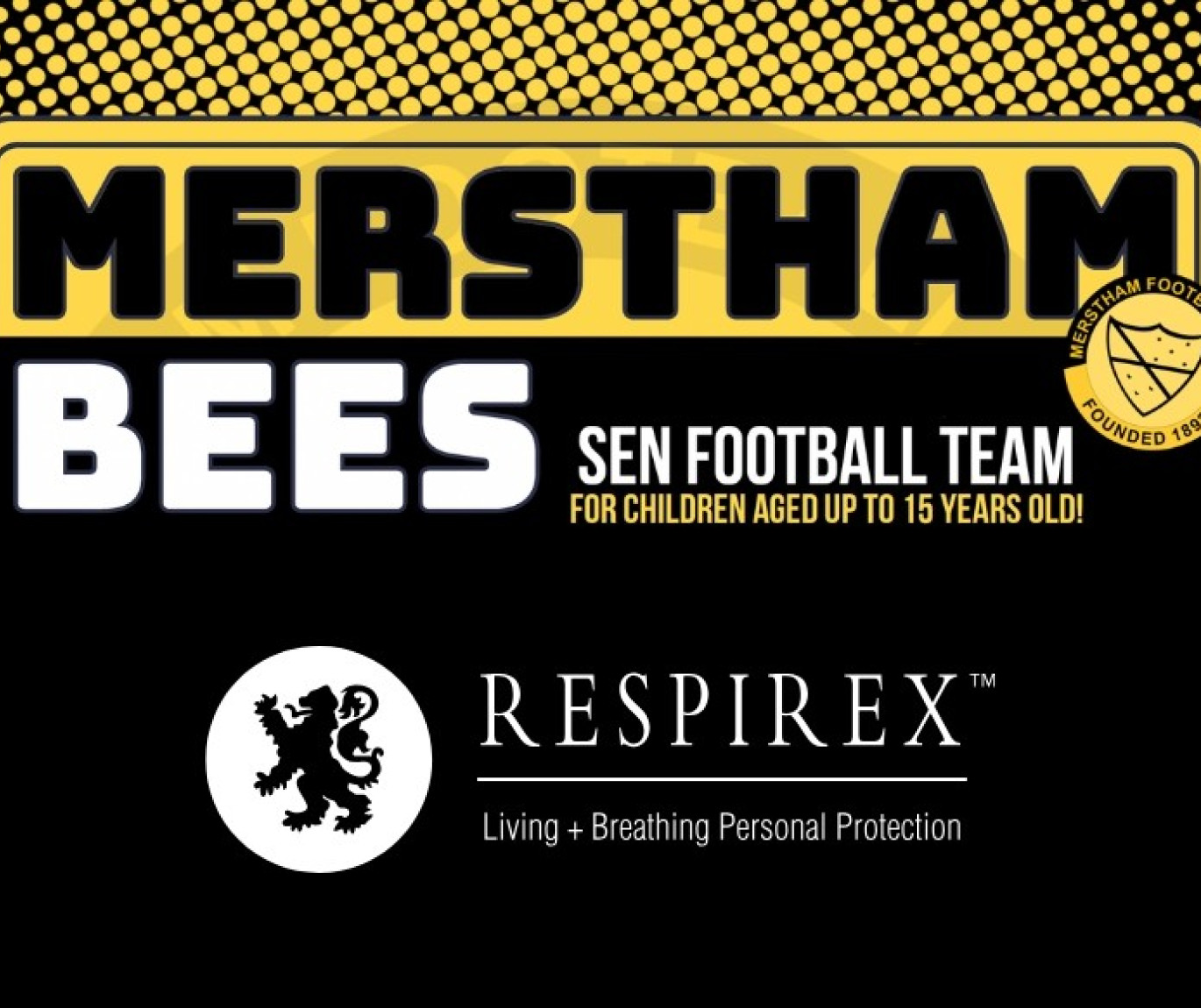 Merstham Bees for web.jpg